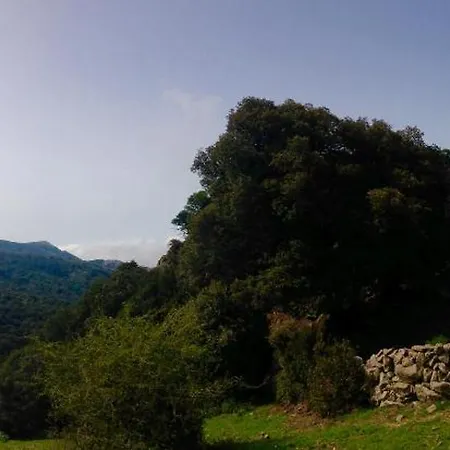 度假居 La Casetta - Sea And Mountain Scano Montiferro