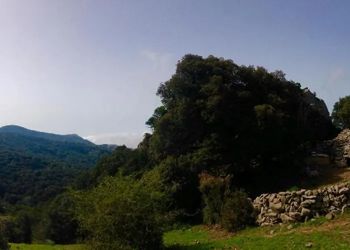 別荘 La Casetta - Sea And Mountain Scano Montiferro